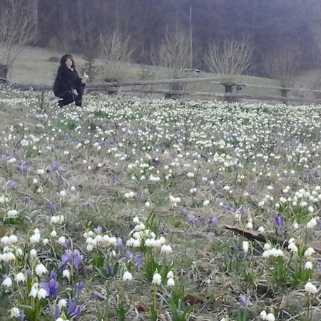 Садиба Під Гострою ズデンニュオ エクステリア 写真