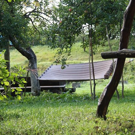 Садиба Під Гострою ズデンニュオ エクステリア 写真