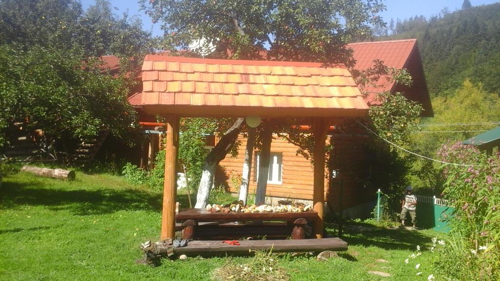Садиба Під Гострою ズデンニュオ エクステリア 写真
